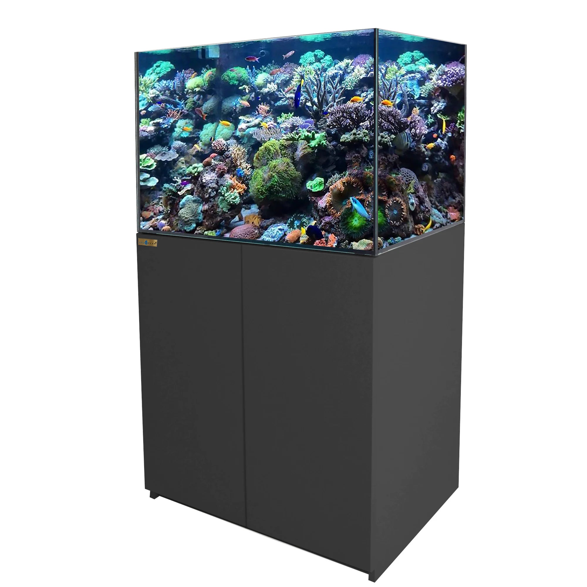 100 Gallon Coral Reef Aquarium Ultra Clear Glass Tank & Built in Sump