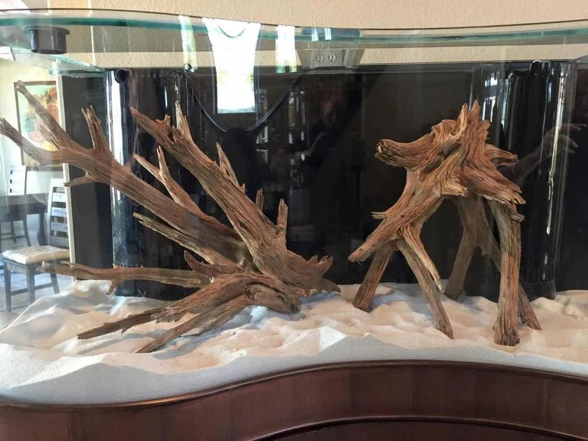 AQUA VIM Wave Glass Reef-Ready Aquarium Set in Black