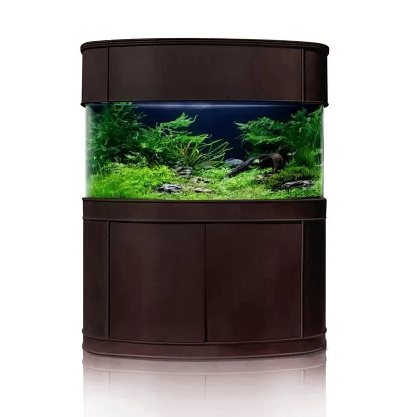 AQUA VIM Seamless Glass Bowfront Reef-Ready Aquarium Set in Walnut