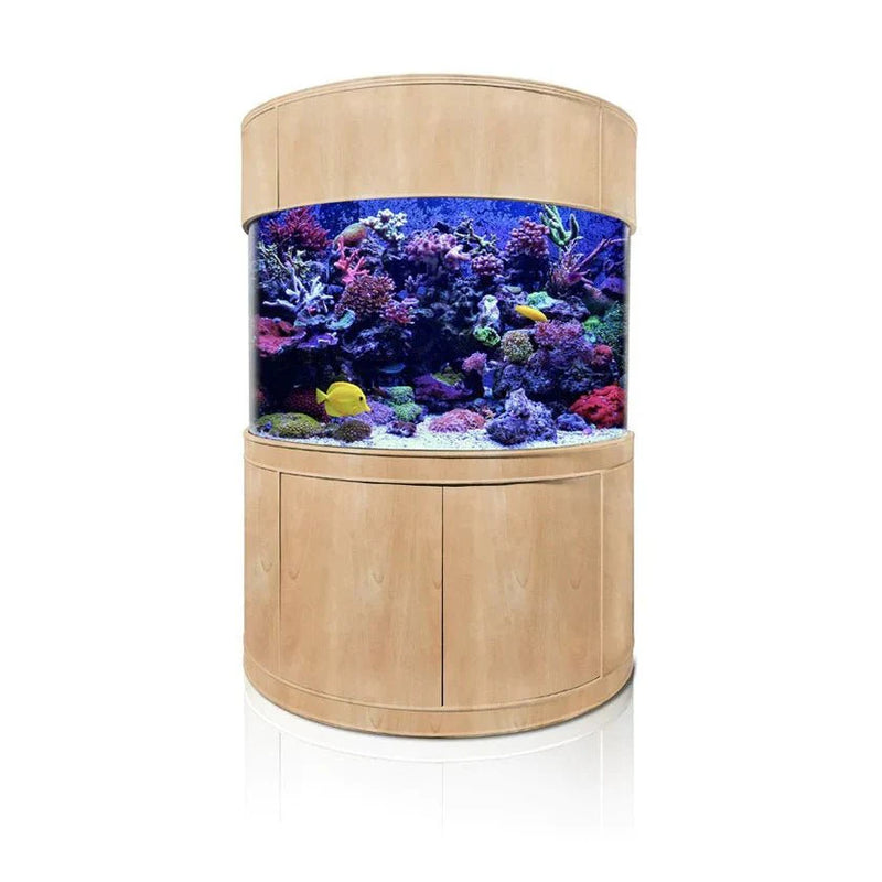 Half Cylinder Glass Reef-Ready Aquarium Set in Unstained Wood Furniture