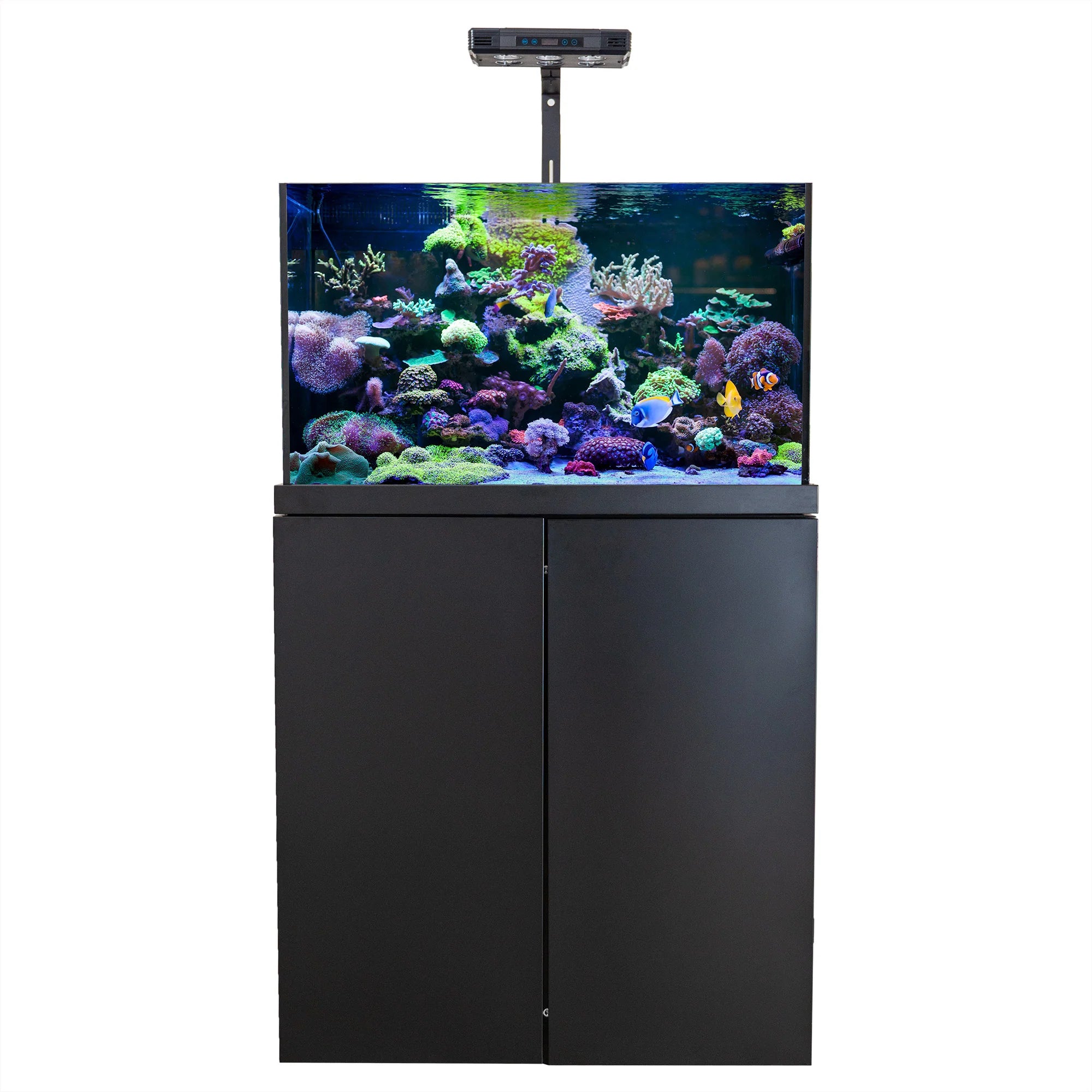 Aqua Dream Coral Reef Aquarium Tempered Glass Fish Tank 90 Gallon Complete Set Black including one Coral light & one Protein Skimmer