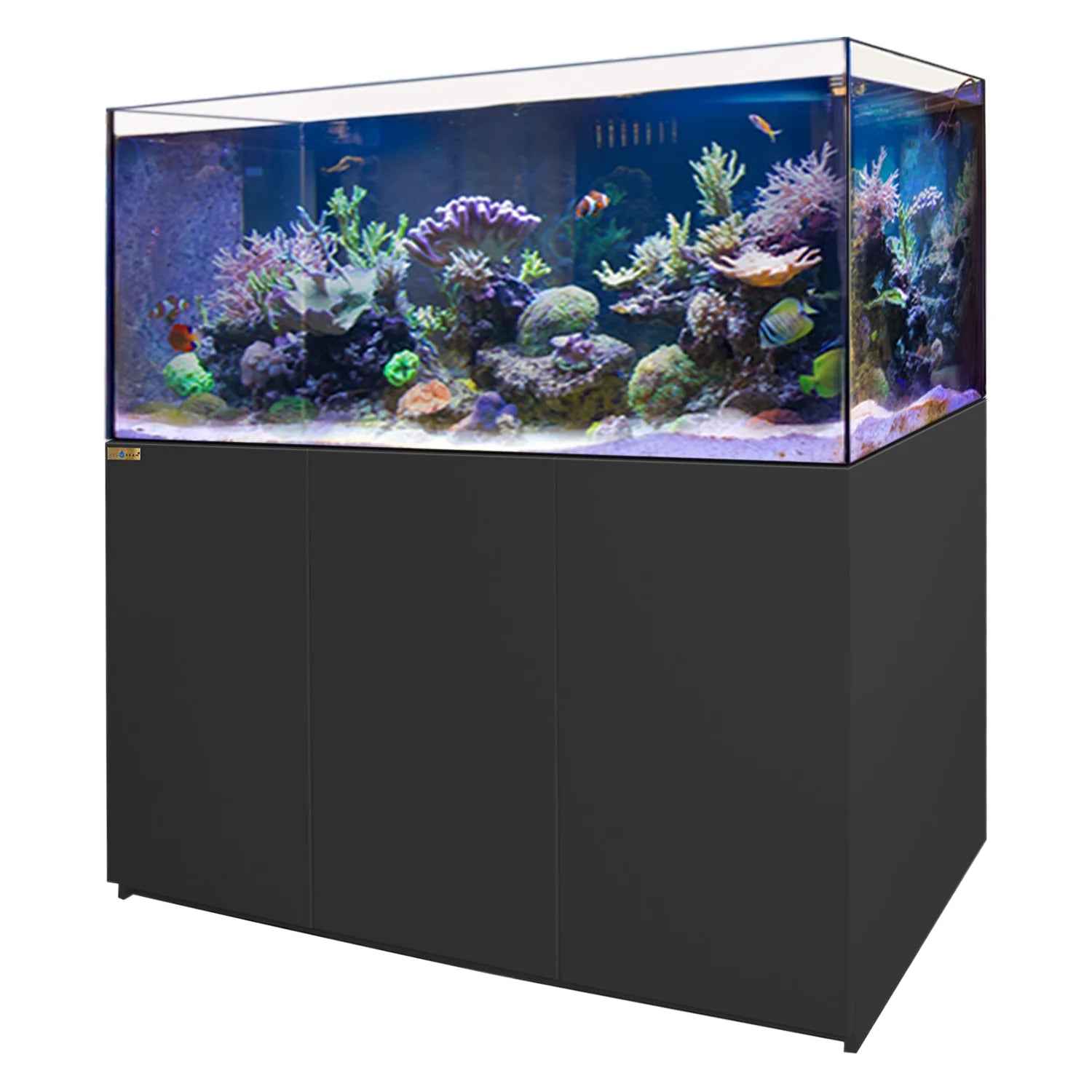 220 Gallon Coral Reef Aquarium: Ultra Clear Glass Tank & Built-In Sump All Black