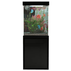 Aqua Dream 260 Gallon Aquarium Black Premium