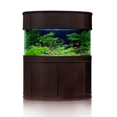 Seamless Glass Bowfront Reef-Ready Aquarium Set in Walnut