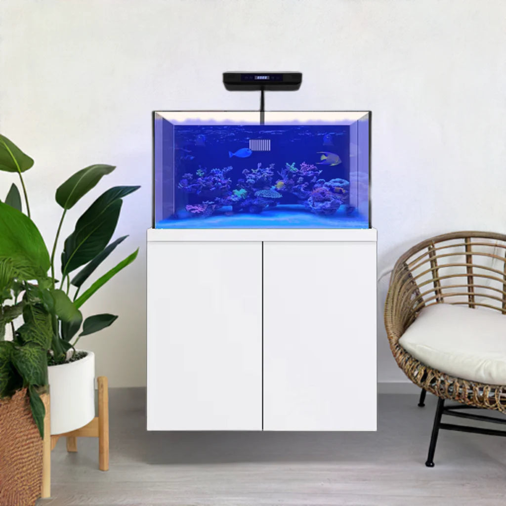 100 Gallon Coral Reef Aquarium Fish Tank Complete Set including one Coral light & one Protein Skimmer